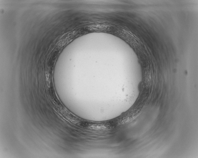 X0000059800749200511111601