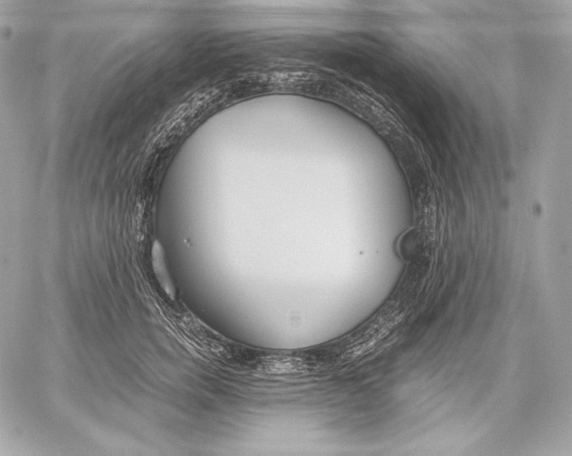 X0000059800750200511111601