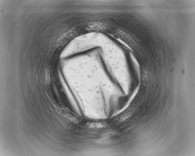 X0000059800751200511111601