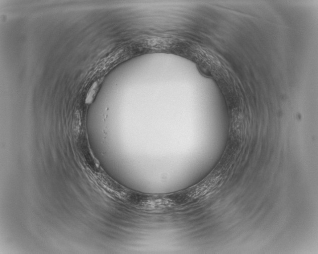 X0000059800752200511111601