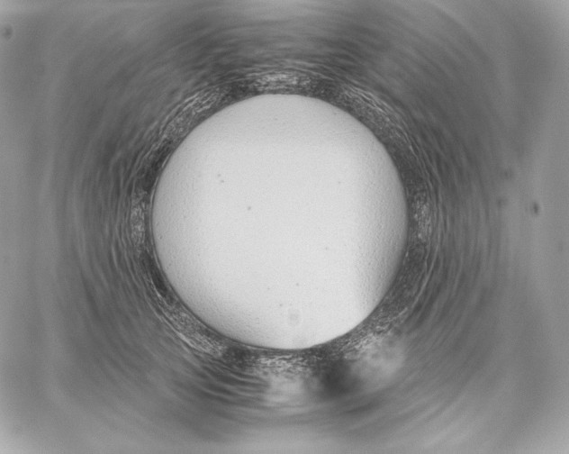 X0000059800753200511111601