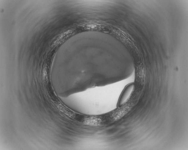 X0000059800754200511111601