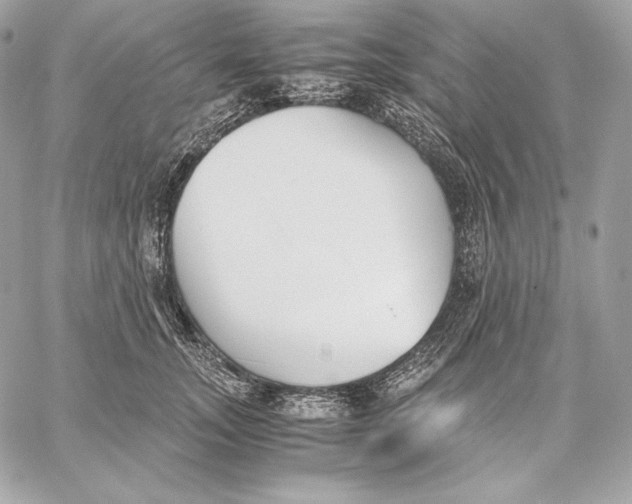 X0000059800755200511111601