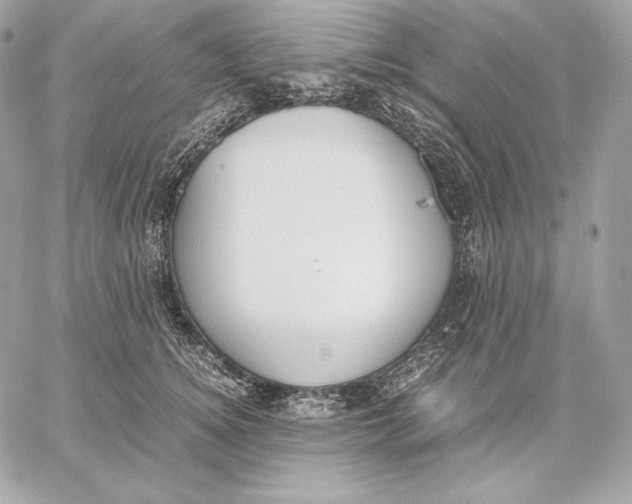 X0000059800756200511111601