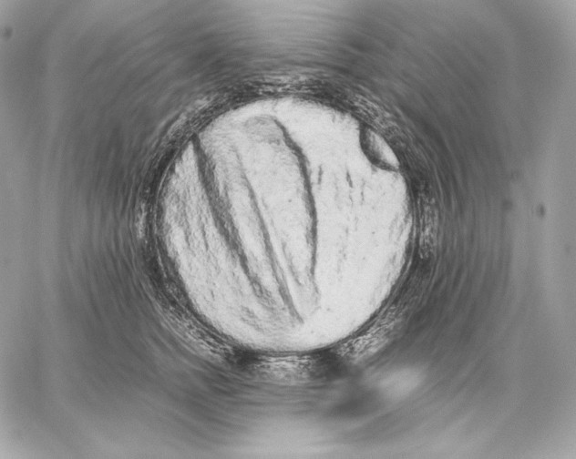 X0000059800758200511111601