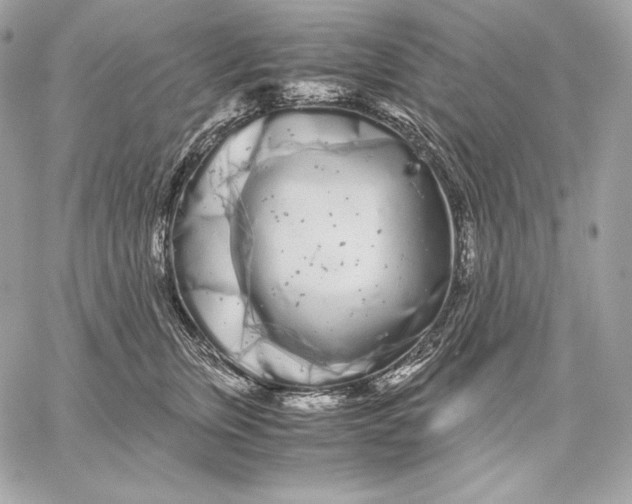 X0000059800759200511111601