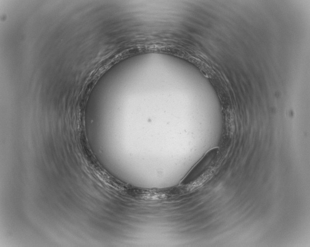 X0000059800760200511111601