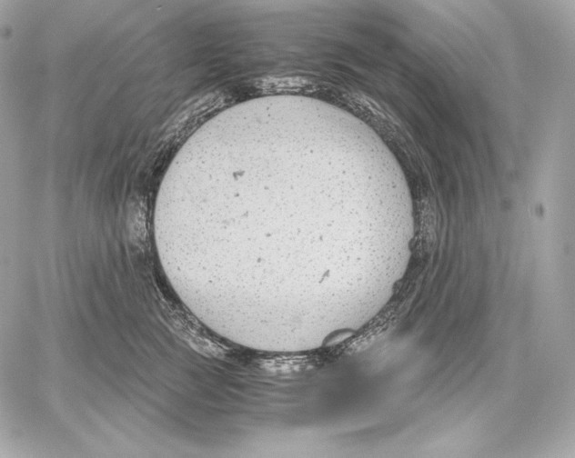 X0000059800761200511111601