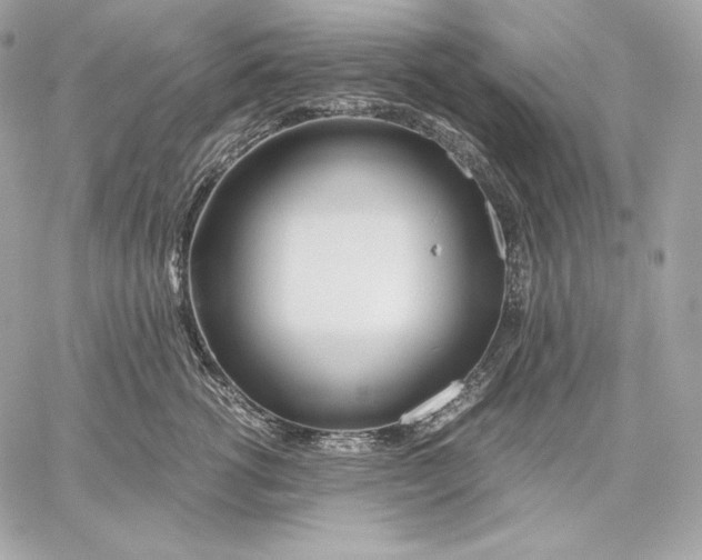 X0000059800762200511111601