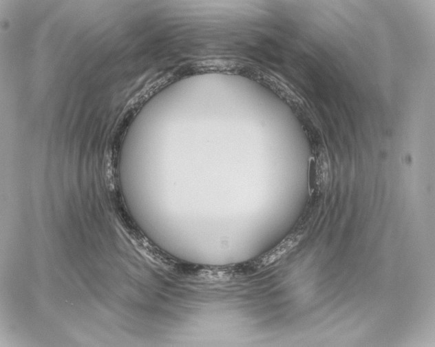 X0000059800764200511111601