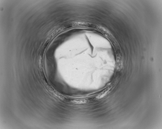 X0000059800765200511111601