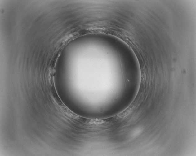 X0000059800767200511111601