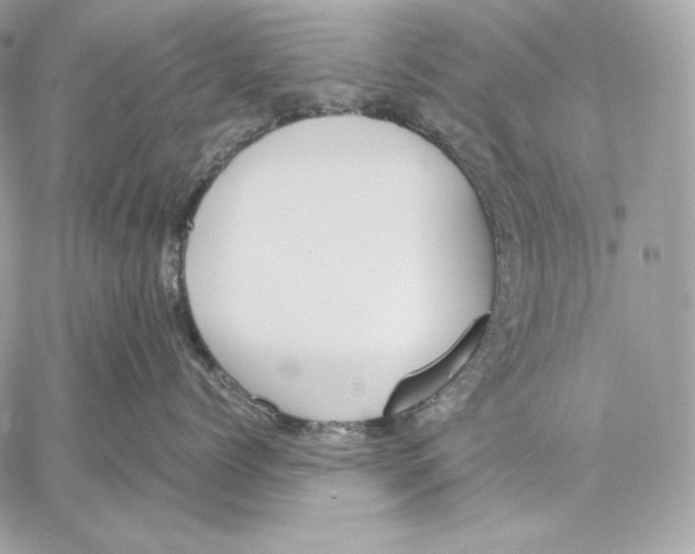 X0000059800768200511111601