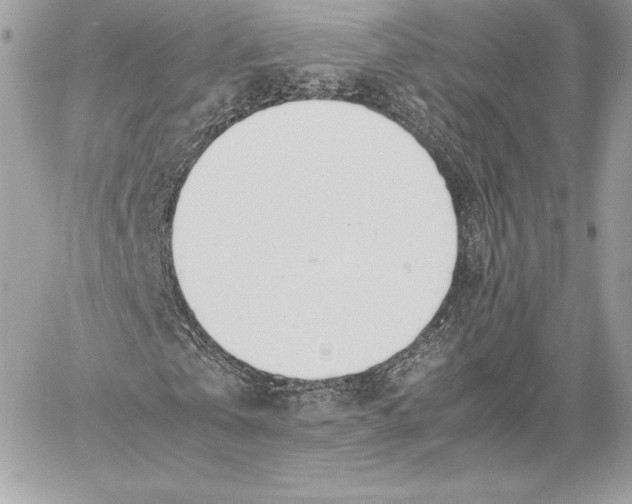 X0000059800769200511111600