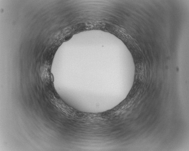 X0000059800770200511111600