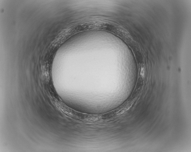 X0000059800771200511111600