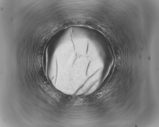 X0000059800772200511111600