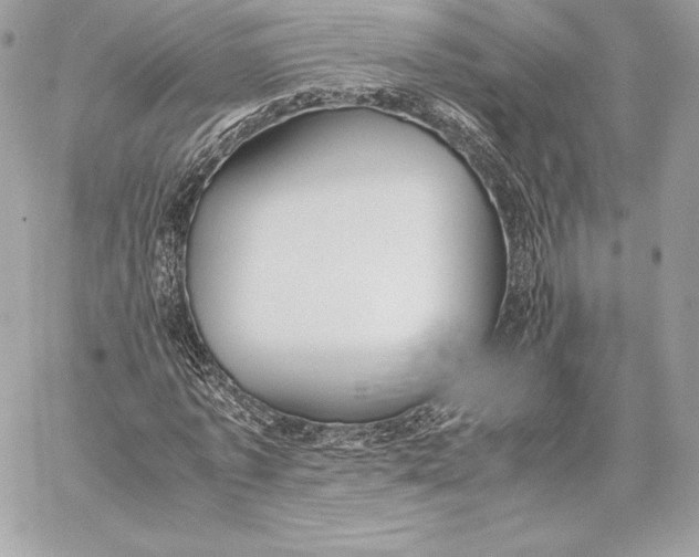 X0000059800773200511111600