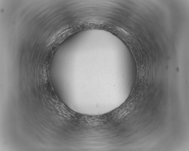 X0000059800774200511111600