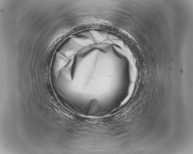 X0000059800775200511111600