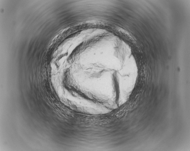 X0000059800776200511111600