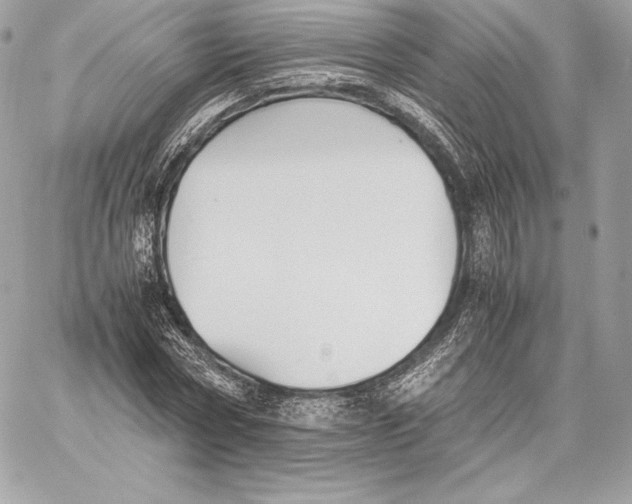 X0000059800778200511111600