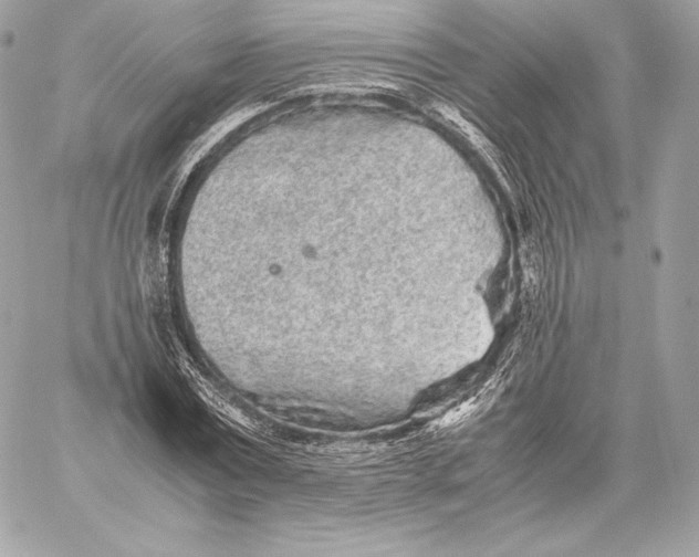 X0000059800779200511111600