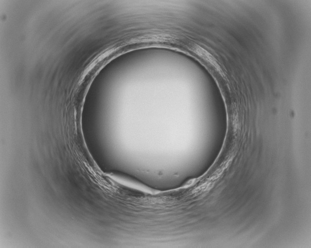 X0000059800781200511111600