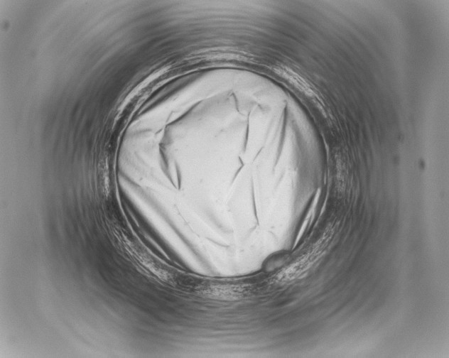 X0000059800782200511111600