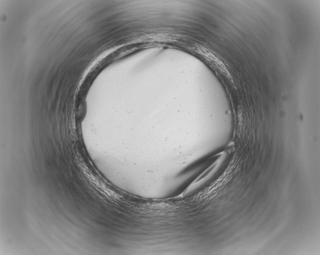 X0000059800784200511111600