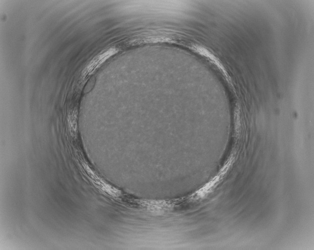 X0000059800785200511111600