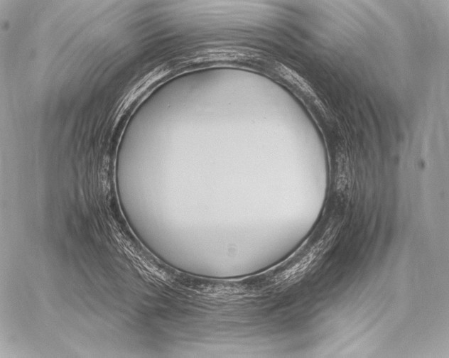 X0000059800786200511111600