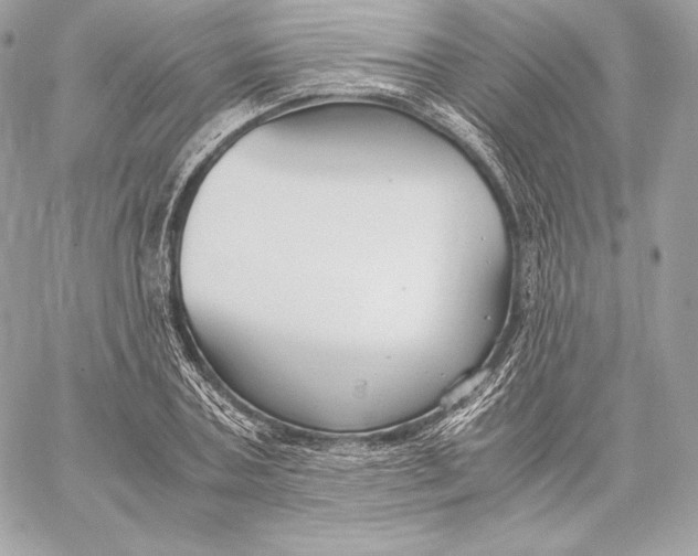 X0000059800787200511111600