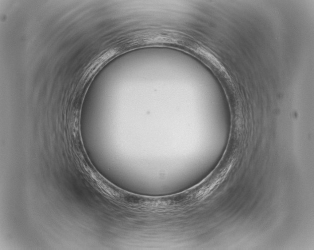 X0000059800793200511111600