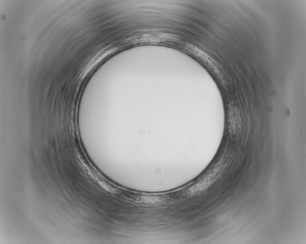 X0000059800794200511111600