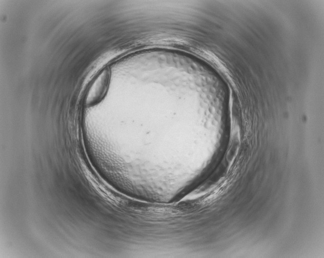 X0000059800795200511111600