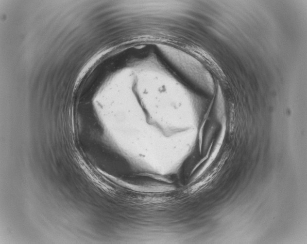 X0000059800796200511111600