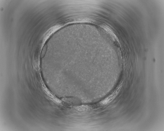 X0000059800797200511111600