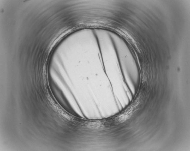 X0000059800798200511111600