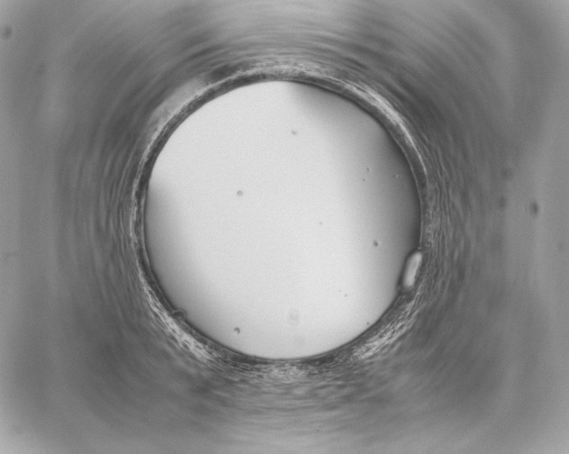 X0000059800799200511111600