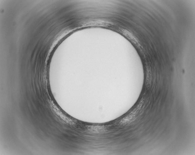 X0000059800800200511111600