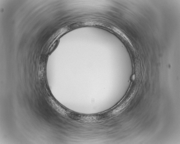 X0000059800801200511111600