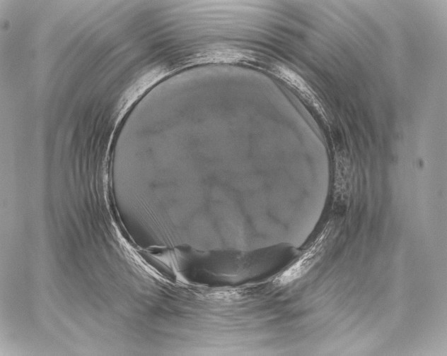 X0000059800802200511111559