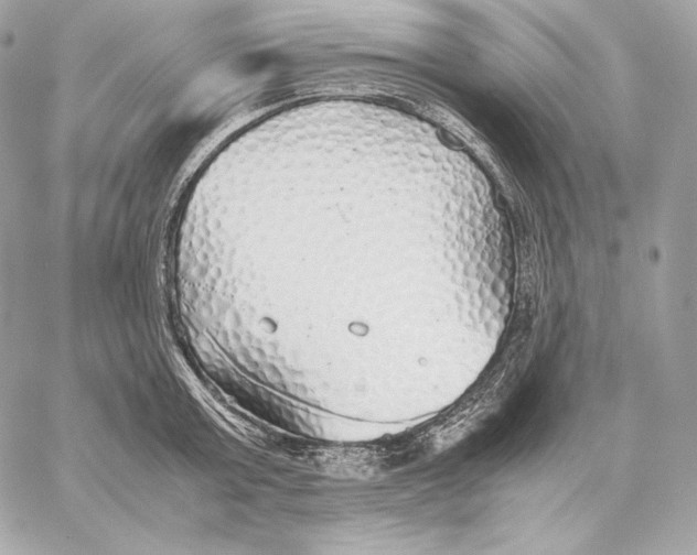 X0000059800803200511111559