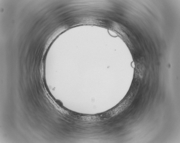 X0000059800804200511111559