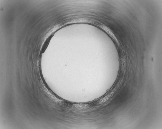 X0000059800805200511111559