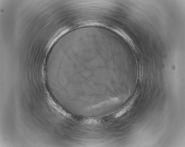 X0000059800806200511111559