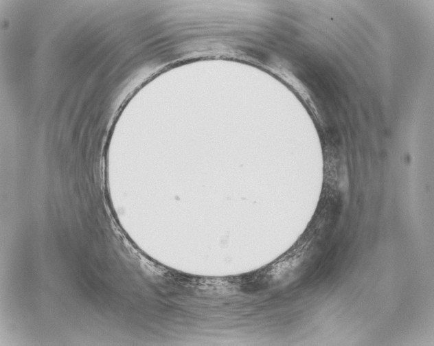 X0000059800807200511111559