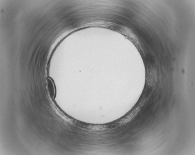 X0000059800808200511111559