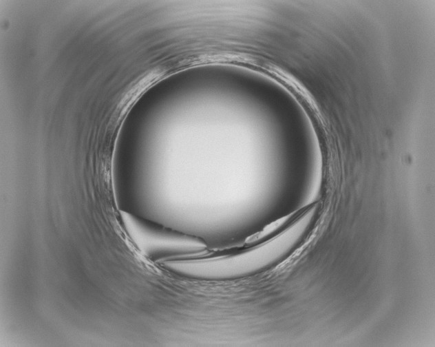 X0000059800809200511111559